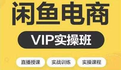 闲鱼副业项目月入过万进阶课程，教你掌握闲鱼电商所需的各项技能-网赚网