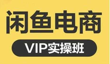 鱼客《闲鱼电商零基础入门到进阶》VIP实战培训课程视频-网赚网