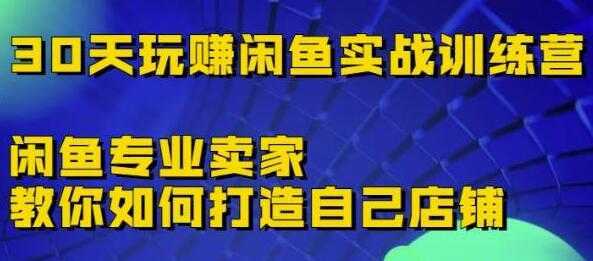《30天玩赚闲鱼实战训练营》闲鱼专业卖家教你如何打造自己店铺-网赚网