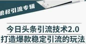 今日头条引流技术2.0，打造爆款稳定引流的玩法视频教程-网赚网