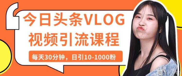 图片[1]-今日头条VLOG视频引流技术，每天30分钟，日引10-1000粉-网赚网