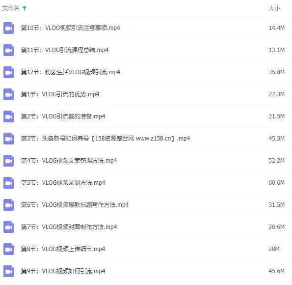 图片[2]-今日头条VLOG视频引流技术，每天30分钟，日引10-1000粉-网赚网