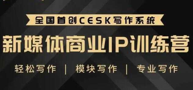 自媒体运营培训课程，新媒体商业IP训练营，轻松写作赚钱-网赚网