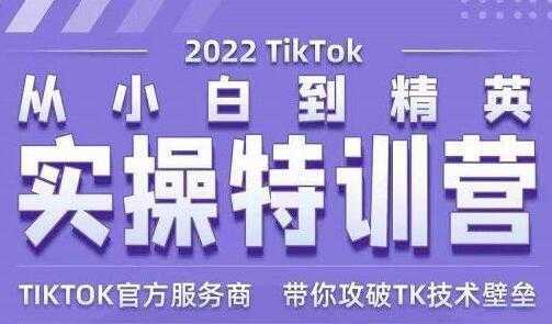 图片[1]-Seven漆《Tiktok从小白到精英实操特训营》带你掌握Tiktok账号运营-网赚网