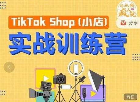 疯人院《TIKTOK SHOP小店实战训练营》海外小店带货，从0到1掌握TK小店运营-网赚网