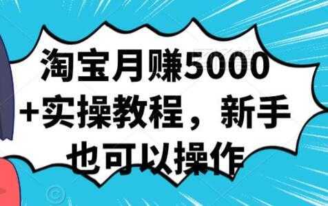 淘宝月赚5000+实操教程，新手也可以操作-网赚网