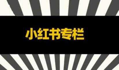 品牌医生《小红书全链营销干货》5个起盘案例，营销策略规划，避坑指南-网赚网