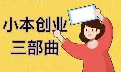 老严《小本创业三部曲》线下创业项目,不讲废话,都是核心干货内容-网赚网