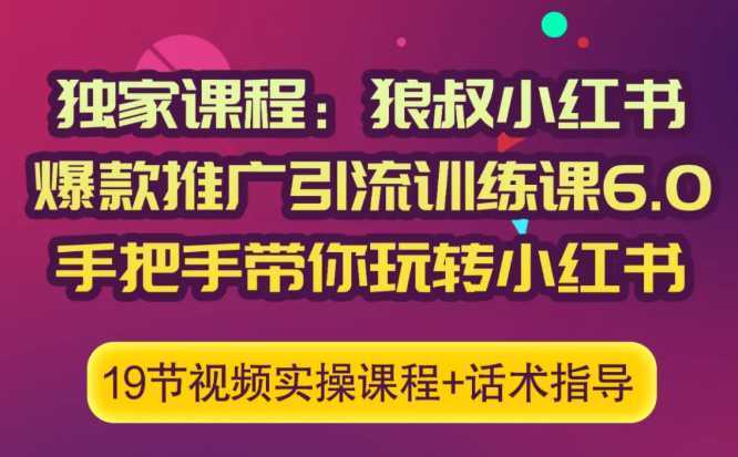 狼叔小红书爆款推广引流训练课6.0，手把手带你玩转小红书-网赚网