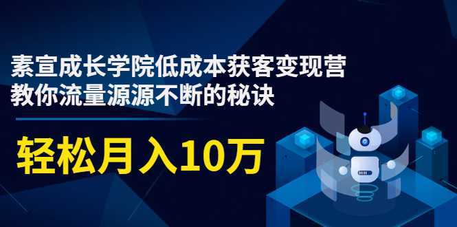 素宣成长学院低成本获客变现营，教你流量源源不断的秘诀，轻松月入10万-网赚网