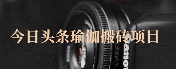 猎人社区·今日头条瑜伽搬砖项目,单号一天几十收入,可以批量操作!-网赚网