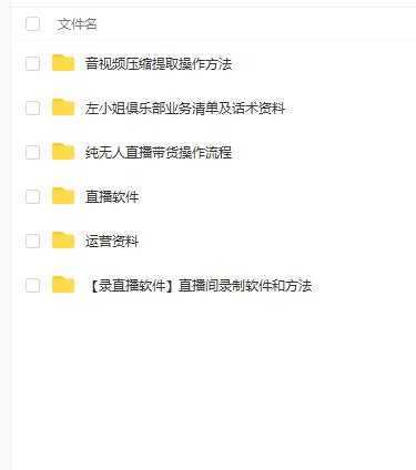 左小姐-直播带货俱乐部十三行、无人直播，全套教程附：工具、文档、话术资料-网赚网