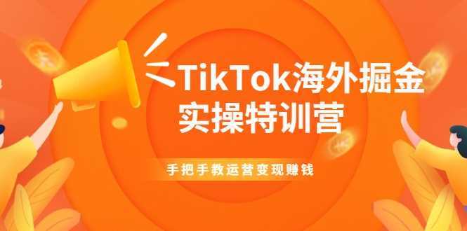 TikTok海外掘金实操特训营：手把手教运营变现赚钱-网赚网