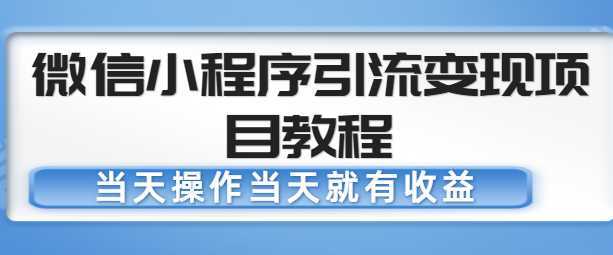 微信小程序引流变现项目教程，当天操作当天就有收益，变现不再是难事-网赚网