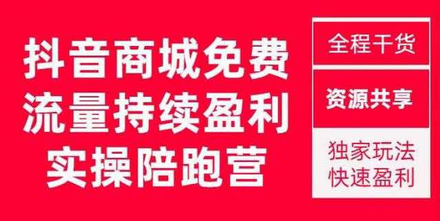 抖音商城搜索持续盈利陪跑成长营，抖音商城搜索从0-1、从1到10的全面解决方案-网赚网