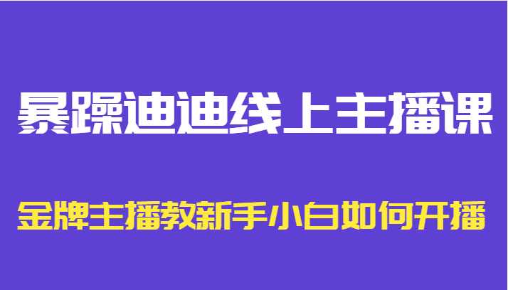 暴躁迪迪线上主播课，金牌主播教新手小白如何开播-网赚网