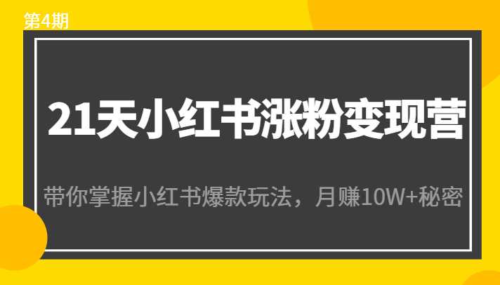 21天小红书涨粉变现营（第4期）：带你掌握小红书爆款玩法，月赚10W+秘密-网赚网