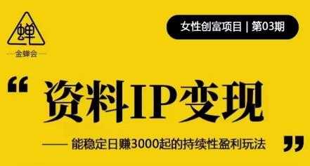 资料IP变现，能稳定日赚3000起的持续性盈利玩法-网赚网