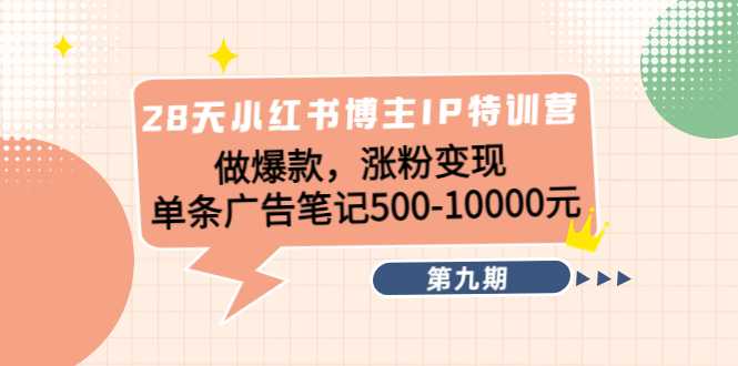 28天小红书博主IP特训营《第9期》做爆款，涨粉变现 单条广告笔记500-10000-网赚网