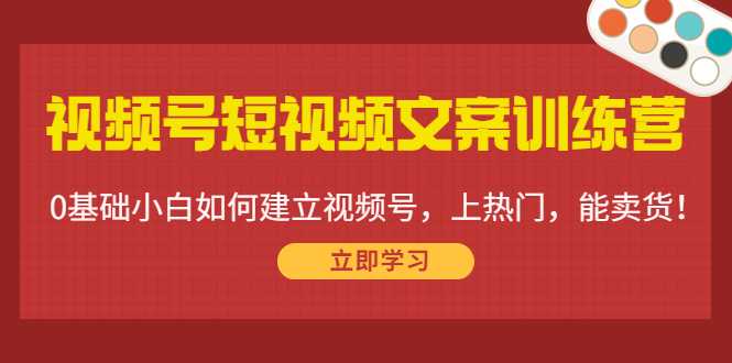 视频号短视频文案训练营:0基础小白如何建立视频号,上热门,能卖货!-网赚网