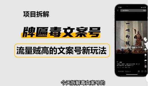 2023抖音快手毒文案新玩法，牌匾文案号，起号快易变现-网赚网