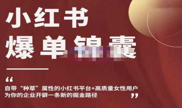 图片[1]-小红书爆单锦囊，自带种草属性+高质量女性用户，为你的企业开辟一条新的掘金路径-网赚网