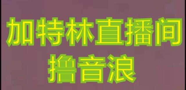 抖音加特林直播间搭建技术，抖音0粉开播，暴力撸音浪，2023新口子，每天800+【素材+详细教程】-网赚网