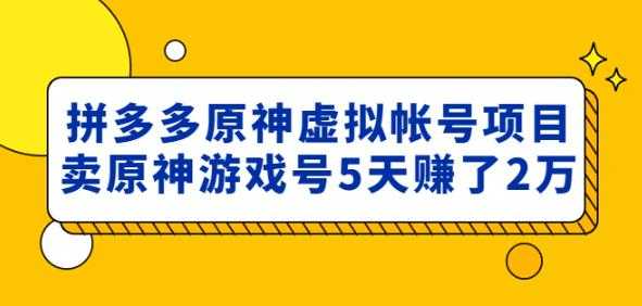 外面卖2980的拼多多原神虚拟帐号项目：卖原神游戏号5天赚了2万-网赚网