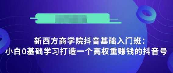 抖音基础入门班：小白0基础学习打造一个高权重赚钱的抖音号-网赚网