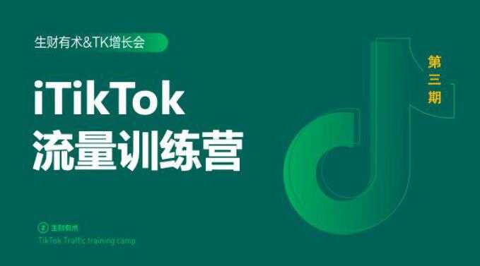 2020最新TikTok流量增长训练营（完结）附PPT-网赚网