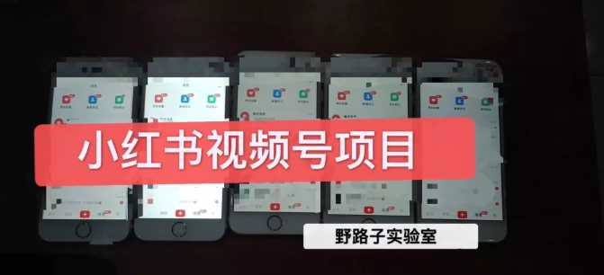 图片[1]-野路子小红书视频号1.0项目，直接上手操作就能赚钱的视频号项目-网赚网