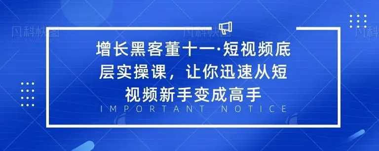 增长黑客董十一·短视频底层实操课，从短视频新手变成高手-网赚网