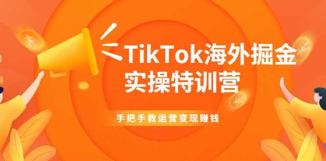 图片[1]-TikTok海外掘金实操特训营：手把手教运营变现赚钱-网赚网