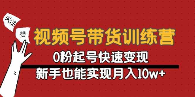 视频号带货训练营：0粉起号快速变现，新手也能实现月入10w+-网赚网