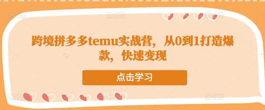跨境拼多多temu实战营，从0到1打造爆款，快速变现-网赚网