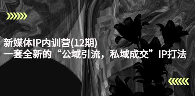 图片[1]-新媒体IP内训营(12期)，一套全新的“公域引流，私域成交”IP打法，直接带走-网赚网